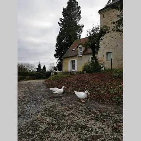 La Petite Maison Courgeout